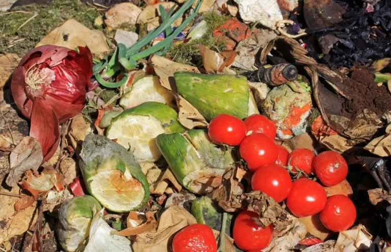 Food Waste Recycling: Returning Resources to the Soil